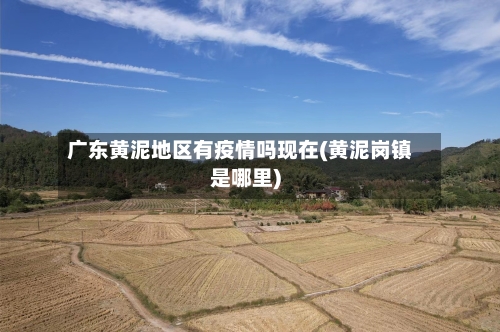 广东黄泥地区有疫情吗现在(黄泥岗镇是哪里)-第2张图片