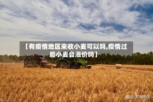 【有疫情地区来收小麦可以吗,疫情过后小麦会涨价吗】-第2张图片