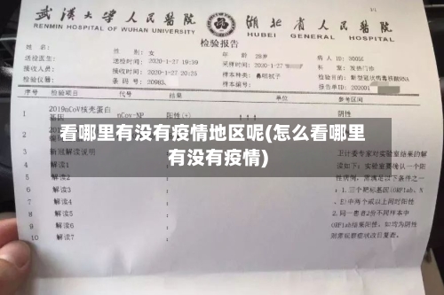 看哪里有没有疫情地区呢(怎么看哪里有没有疫情)-第3张图片