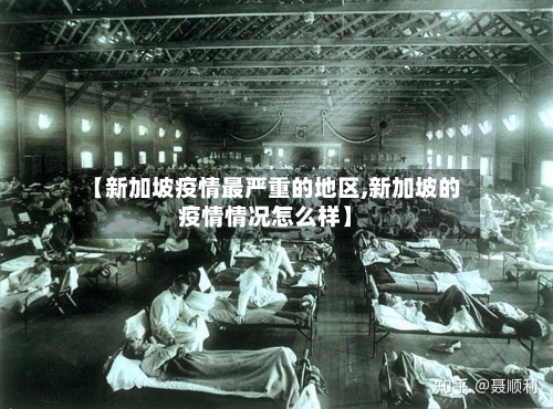 【新加坡疫情最严重的地区,新加坡的疫情情况怎么样】-第2张图片