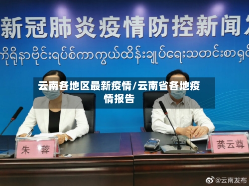 云南各地区最新疫情/云南省各地疫情报告-第3张图片