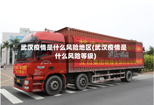 武汉疫情是什么风险地区(武汉疫情是什么风险等级)