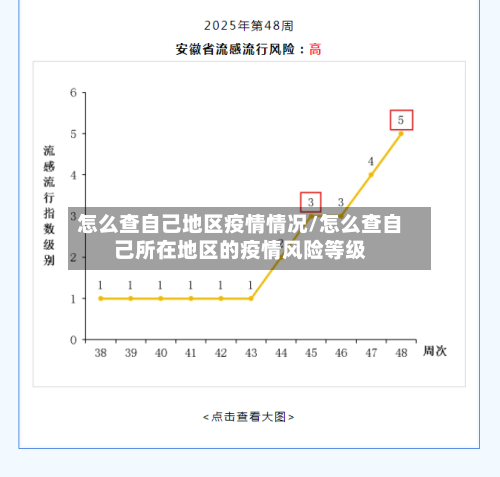 怎么查自己地区疫情情况/怎么查自己所在地区的疫情风险等级
