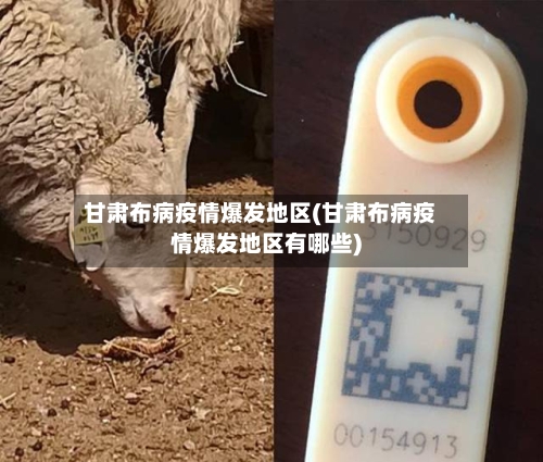 甘肃布病疫情爆发地区(甘肃布病疫情爆发地区有哪些)-第2张图片