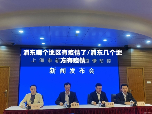 浦东哪个地区有疫情了/浦东几个地方有疫情-第3张图片