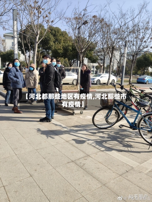 【河北都那些地区有疫情,河北那些市有疫情】-第2张图片