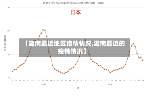 【湖南最近地区疫情情况,湖南最近的疫情情况】-第2张图片