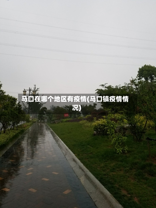 马口在哪个地区有疫情(马口镇疫情情况)-第2张图片