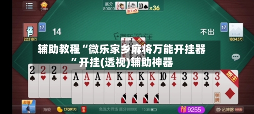 辅助教程“微乐家乡麻将万能开挂器”开挂(透视)辅助神器-第3张图片