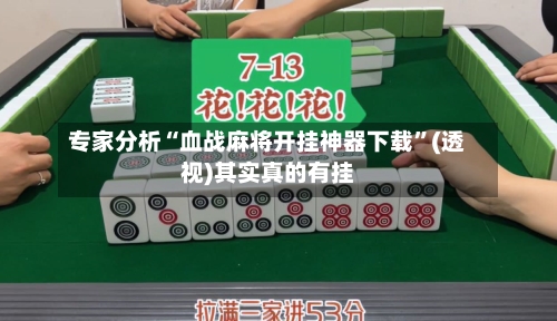 专家分析“血战麻将开挂神器下载”(透视)其实真的有挂-第3张图片