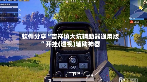 软件分享“吉祥填大坑辅助器通用版”开挂(透视)辅助神器-第3张图片