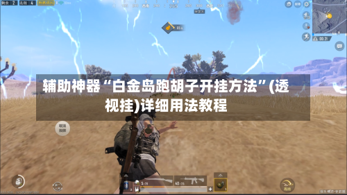 辅助神器“白金岛跑胡子开挂方法”(透视挂)详细用法教程-第2张图片