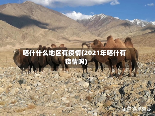 喀什什么地区有疫情(2021年喀什有疫情吗)-第2张图片