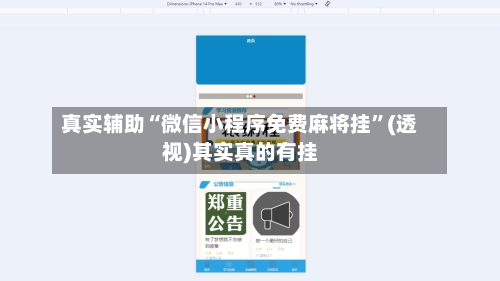 真实辅助“微信小程序免费麻将挂”(透视)其实真的有挂-第2张图片