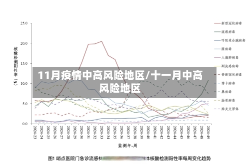 11月疫情中高风险地区/十一月中高风险地区-第3张图片