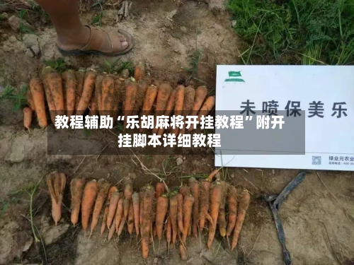 教程辅助“乐胡麻将开挂教程”附开挂脚本详细教程-第3张图片