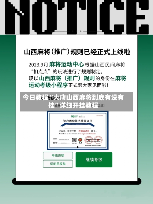 今日教程“大唐山西麻将到底有没有挂	”详细开挂教程-第3张图片