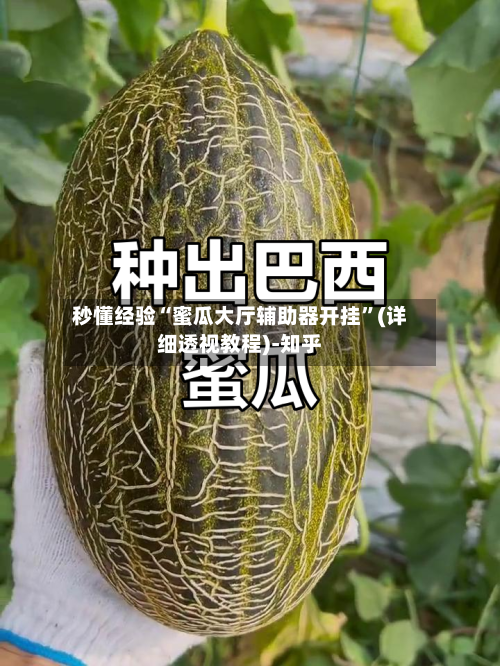 秒懂经验“蜜瓜大厅辅助器开挂”(详细透视教程)-知乎-第2张图片