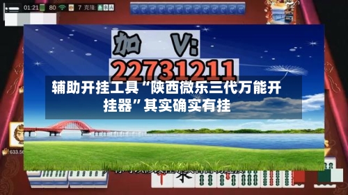 辅助开挂工具“陕西微乐三代万能开挂器”其实确实有挂-第3张图片