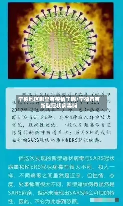 宁德地区哪里有疫情了呢/宁德市有新型冠状病毒吗-第3张图片