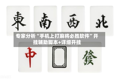 专家分析“手机上打麻将必胜软件	”开挂辅助脚本+详细开挂-第2张图片