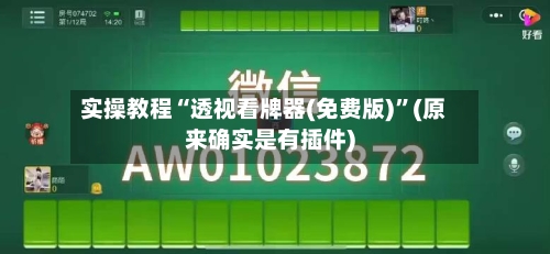 实操教程“透视看牌器(免费版)”(原来确实是有插件)-第2张图片