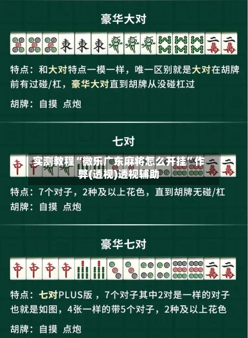 实测教程“微乐广东麻将怎么开挂”作弊(透视)透视辅助-第2张图片