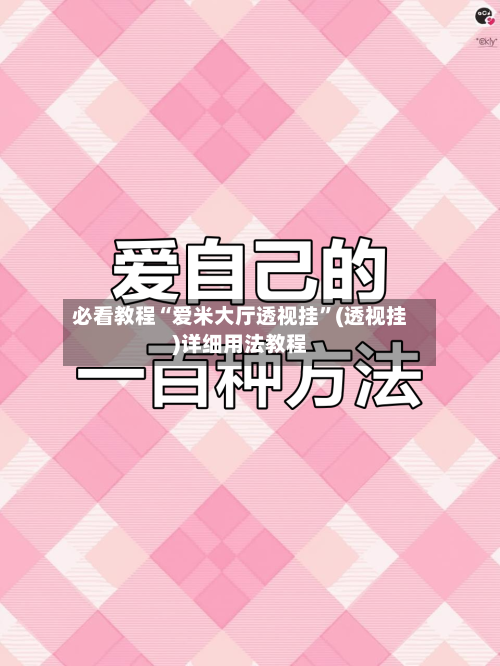 必看教程“爱米大厅透视挂	”(透视挂)详细用法教程-第3张图片