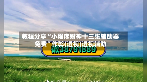 教程分享“小程序财神十三张辅助器免费	”作弊(透视)透视辅助-第2张图片