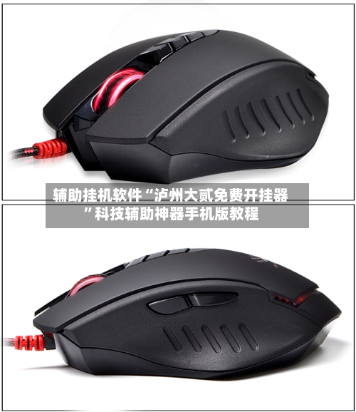 辅助挂机软件“泸州大贰免费开挂器”科技辅助神器手机版教程