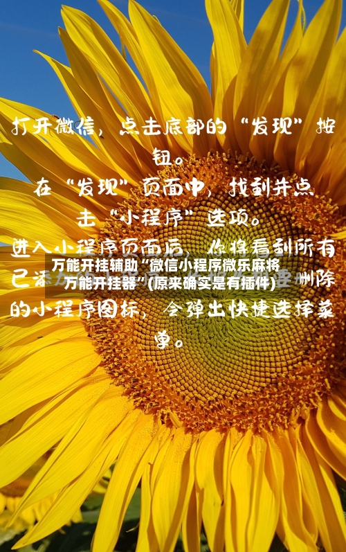 万能开挂辅助“微信小程序微乐麻将万能开挂器	”(原来确实是有插件)-第2张图片