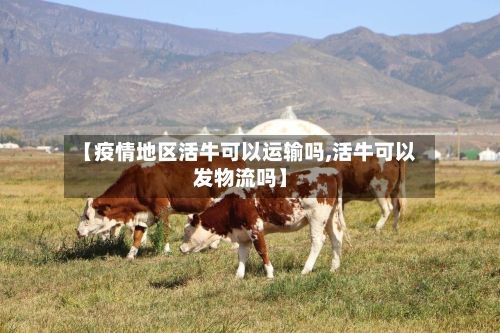 【疫情地区活牛可以运输吗,活牛可以发物流吗】
