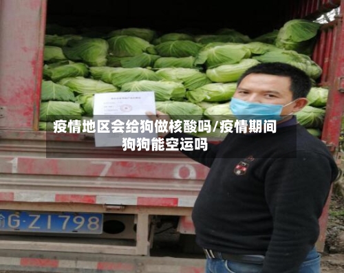 疫情地区会给狗做核酸吗/疫情期间狗狗能空运吗-第2张图片