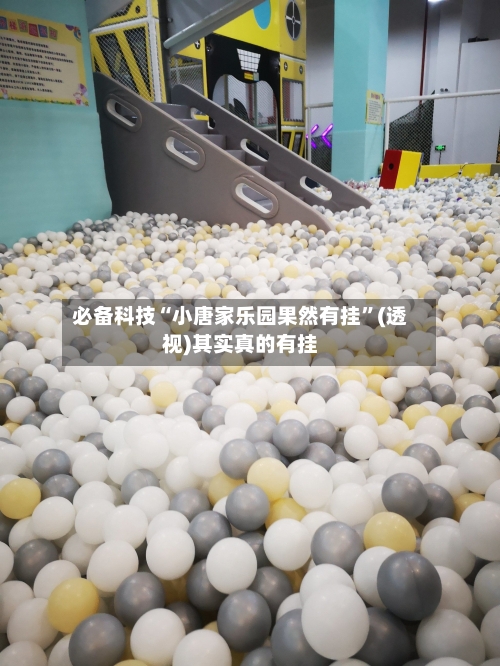 必备科技“小唐家乐园果然有挂”(透视)其实真的有挂