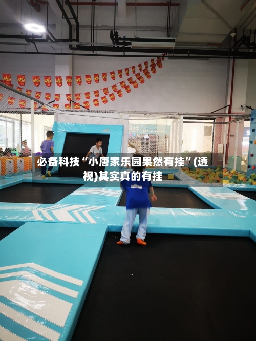 必备科技“小唐家乐园果然有挂”(透视)其实真的有挂-第2张图片