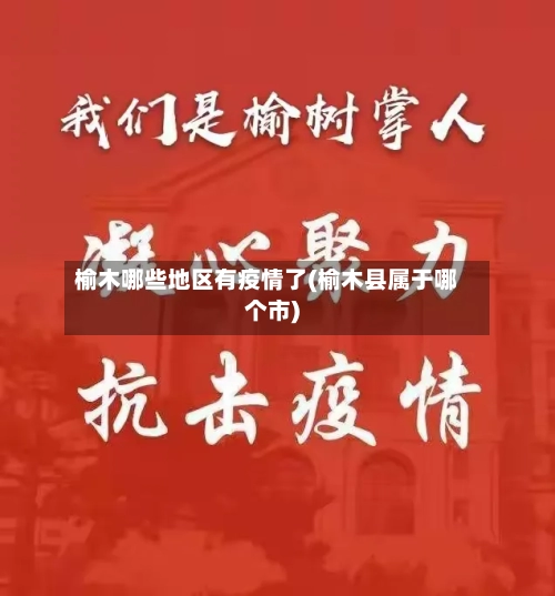 榆木哪些地区有疫情了(榆木县属于哪个市)-第2张图片