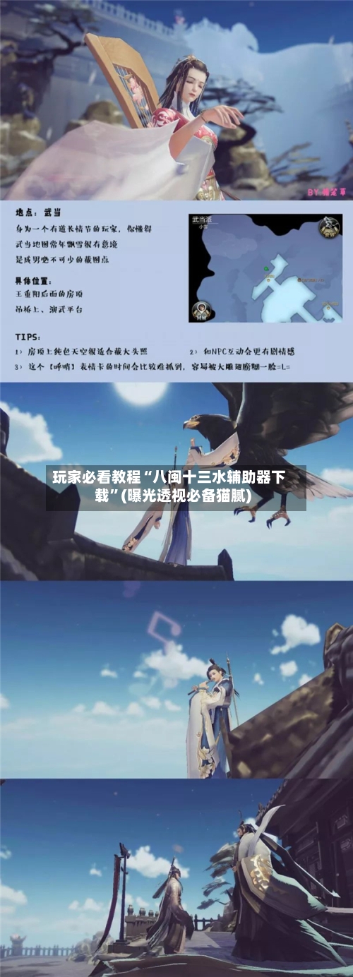 玩家必看教程“八闽十三水辅助器下载	”(曝光透视必备猫腻)-第2张图片