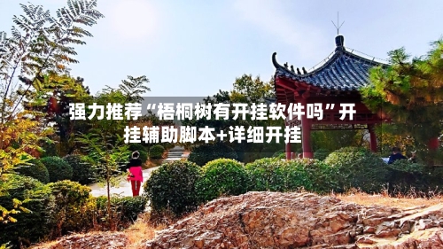 强力推荐“梧桐树有开挂软件吗”开挂辅助脚本+详细开挂-第3张图片