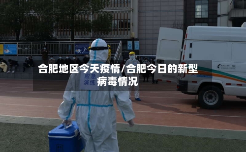 合肥地区今天疫情/合肥今日的新型病毒情况-第3张图片