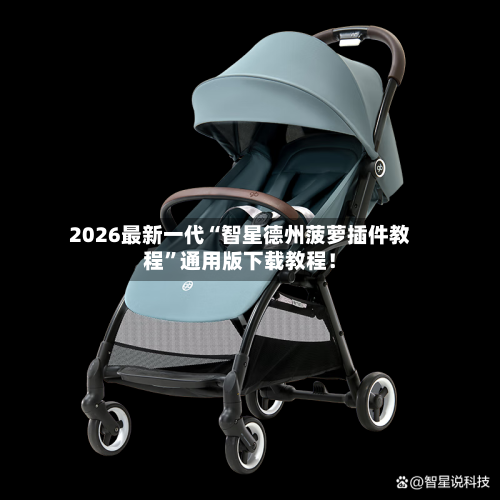 2026最新一代“智星德州菠萝插件教程”通用版下载教程！