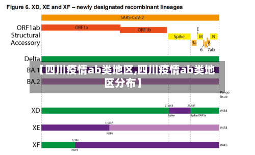 【四川疫情ab类地区,四川疫情ab类地区分布】-第2张图片