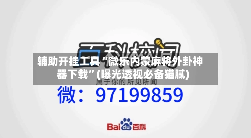 辅助开挂工具“微乐内蒙麻将外卦神器下载”(曝光透视必备猫腻)-第3张图片
