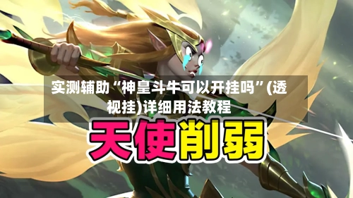 实测辅助“神皇斗牛可以开挂吗”(透视挂)详细用法教程
