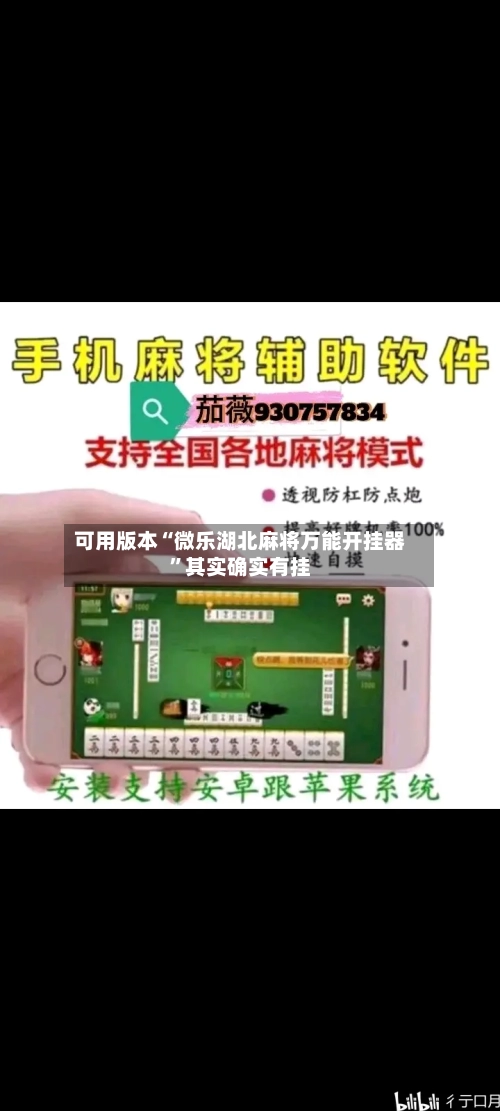 可用版本“微乐湖北麻将万能开挂器”其实确实有挂-第2张图片