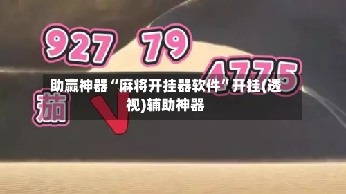 助赢神器“麻将开挂器软件”开挂(透视)辅助神器-第2张图片