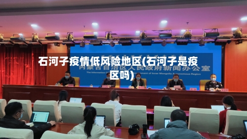 石河子疫情低风险地区(石河子是疫区吗)-第2张图片