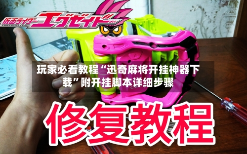 玩家必看教程“迅奇麻将开挂神器下载	”附开挂脚本详细步骤-第3张图片