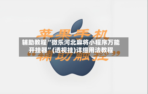 辅助教程“微乐河北麻将小程序万能开挂器”(透视挂)详细用法教程-第3张图片