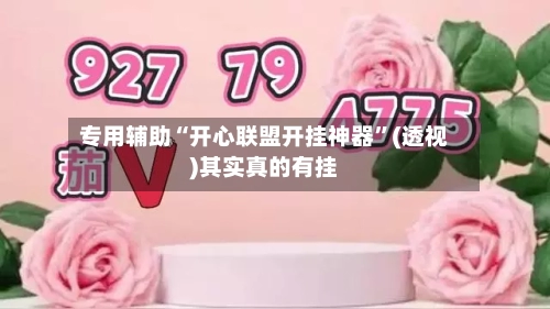 专用辅助“开心联盟开挂神器”(透视)其实真的有挂-第3张图片