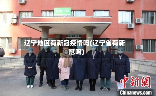 辽宁地区有新冠疫情吗(辽宁省有新冠吗)